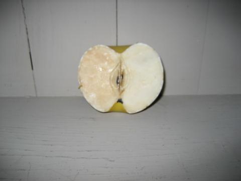 Cut Apple Stone Fruit